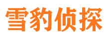 石门市调查公司